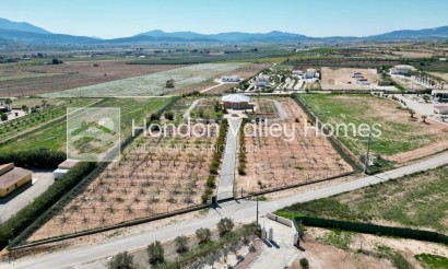 5. Finca / Country Property - Wiederverkauf - Pinoso - Pinoso