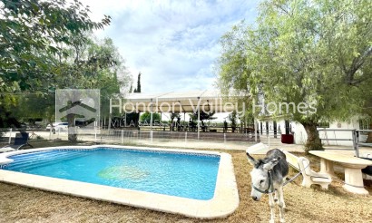 Finca / Country Property - Rynek wtórny - Orihuela - Orihuela