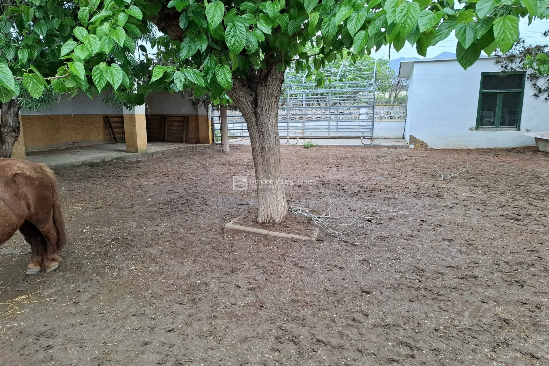 Herverkoop - Country House - Orihuela