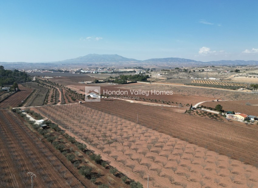 Herverkoop - Grond - Pinoso