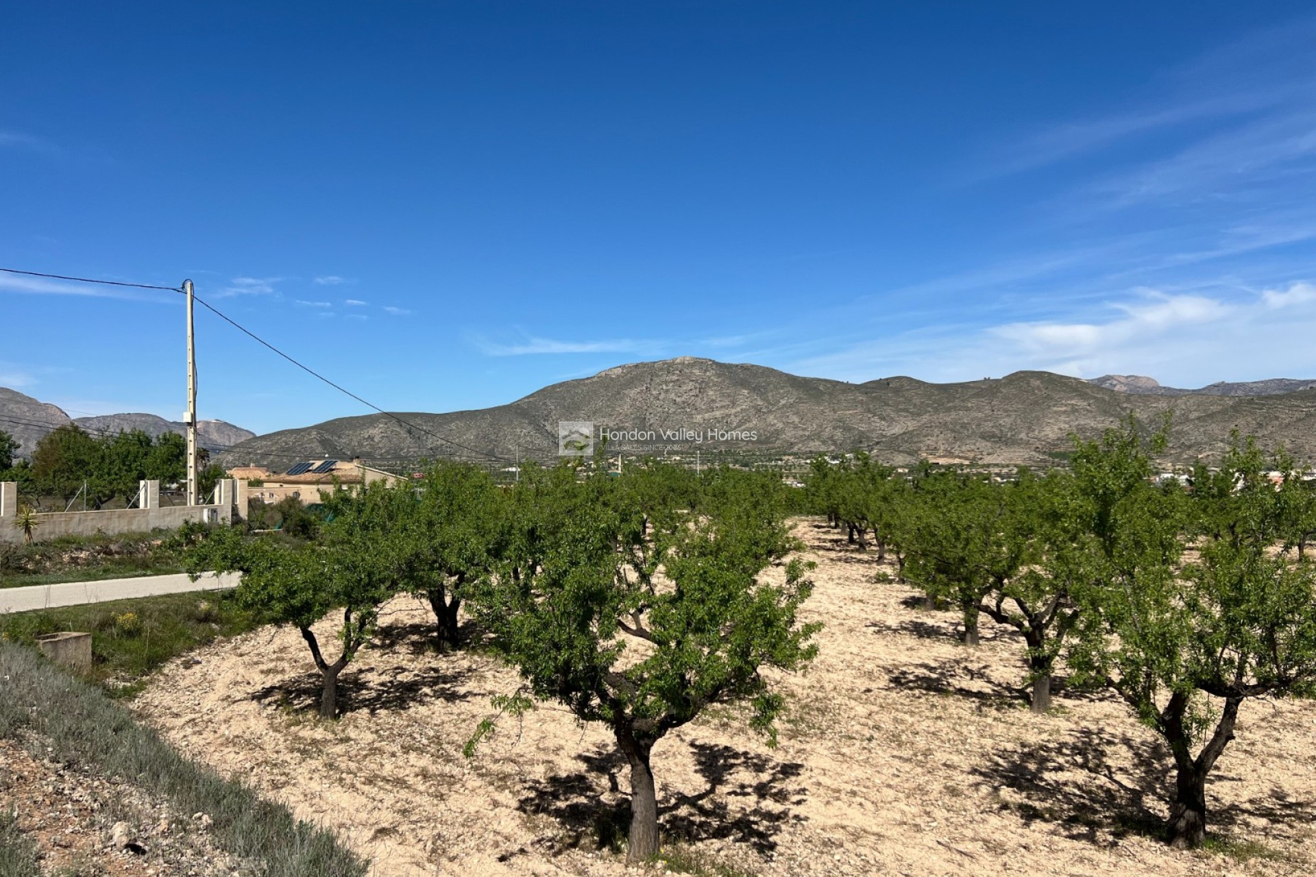 Herverkoop - Plot - Hondón de los Fráiles