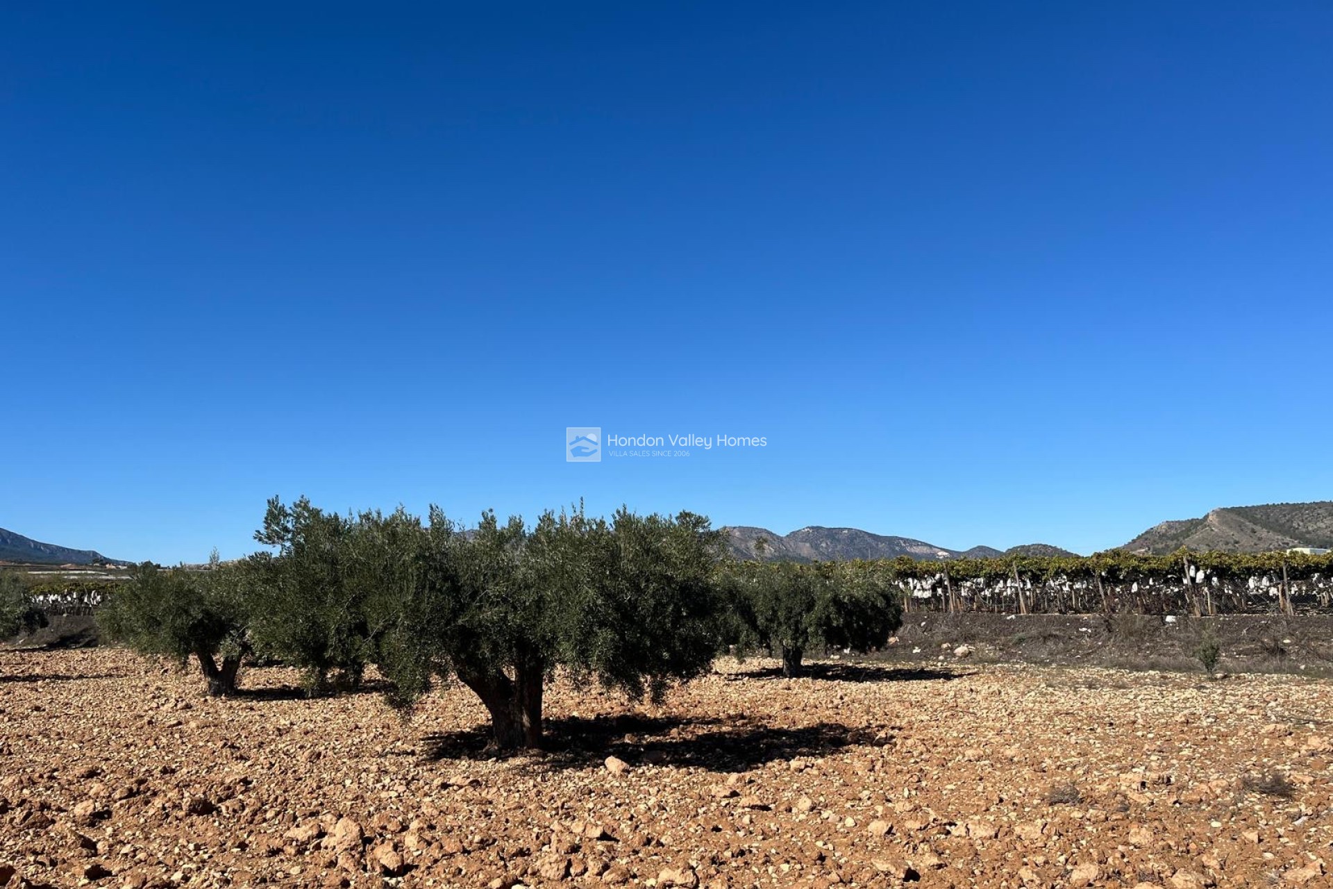 Herverkoop - Plot - Land - La Romana