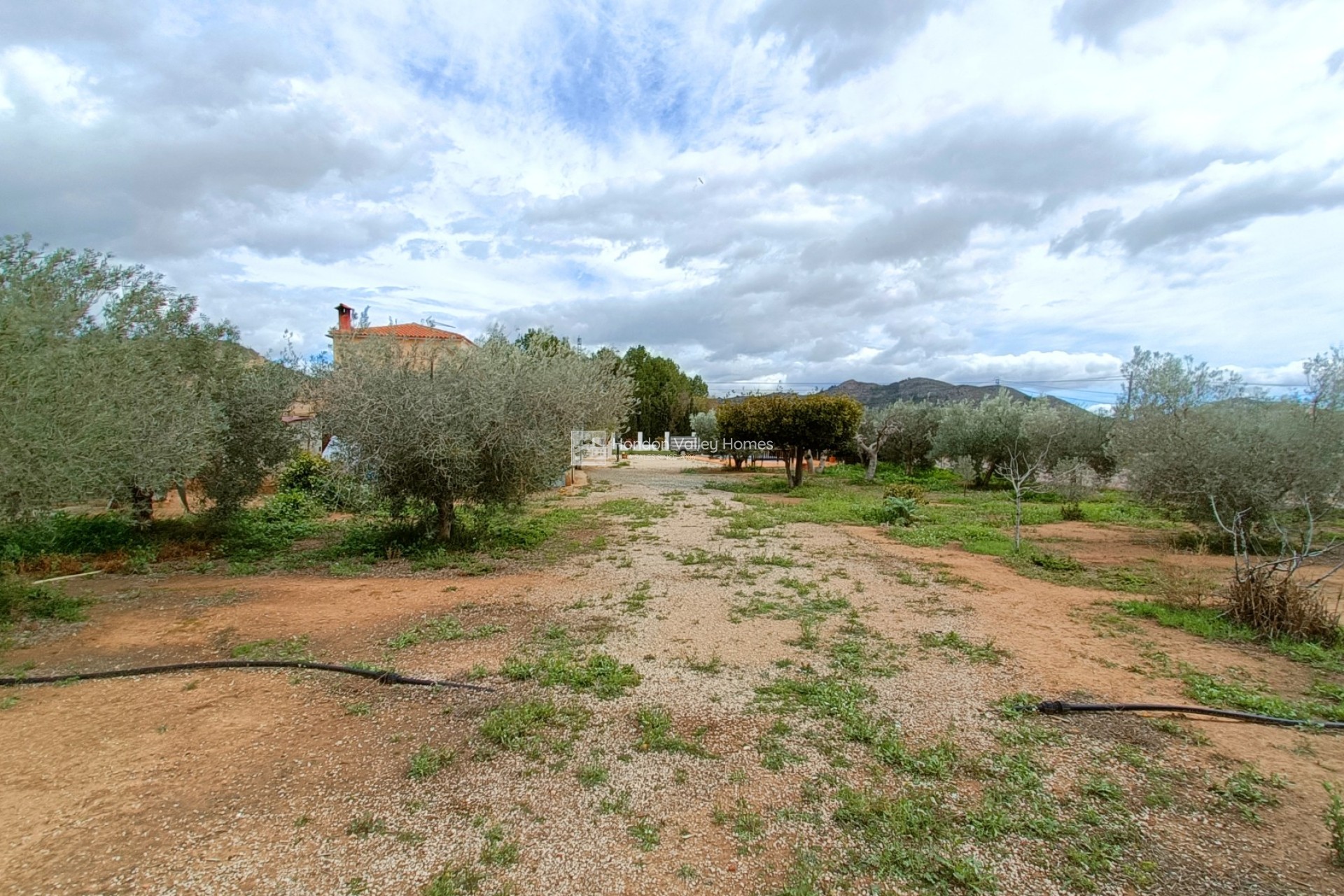 Herverkoop - Villa - Hondón de las Nieves