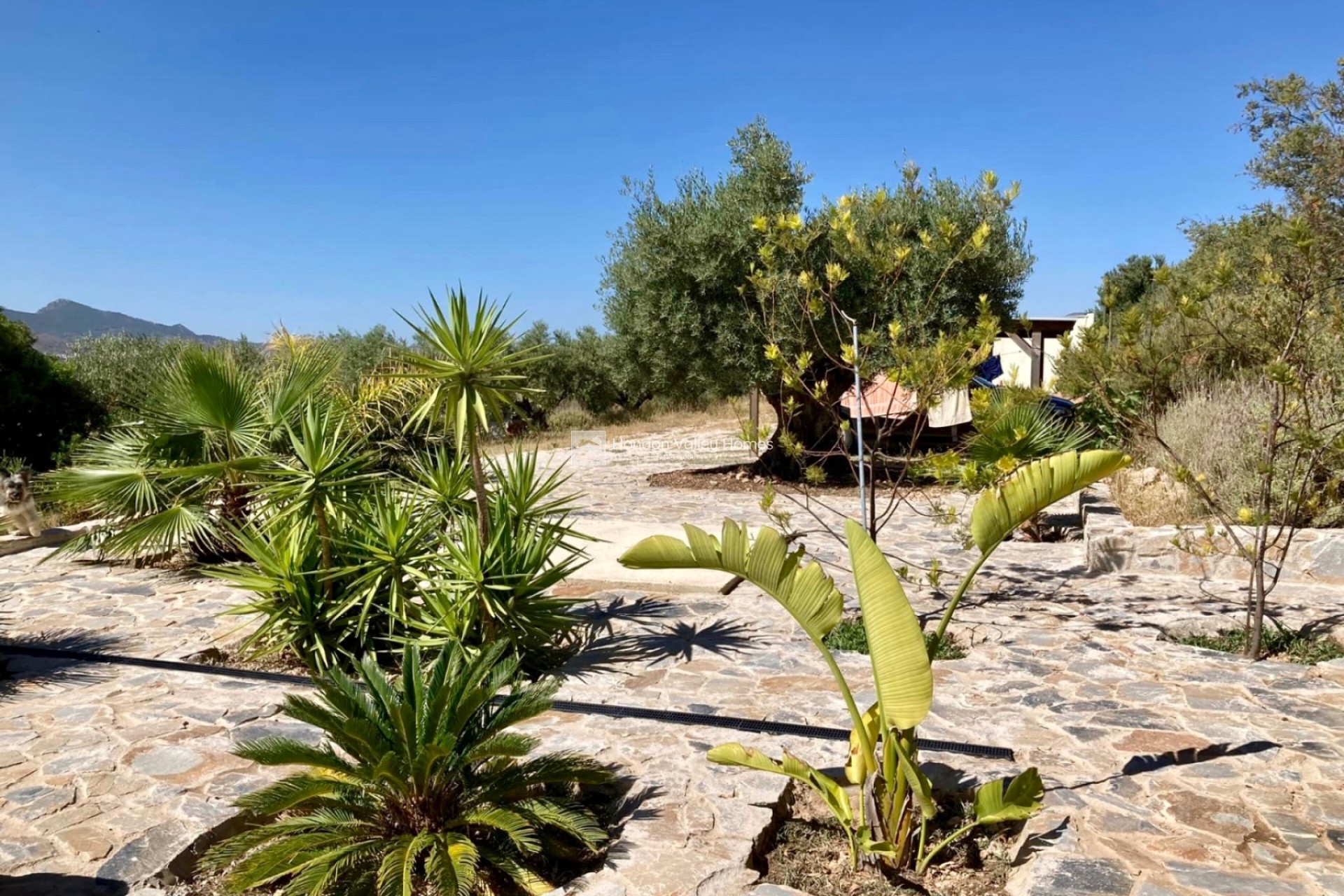 Herverkoop - Villa - Hondón de las Nieves