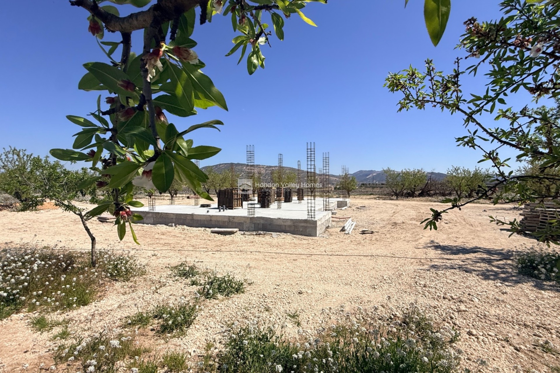 Neubau / In Entwicklung - Villa - Pinoso