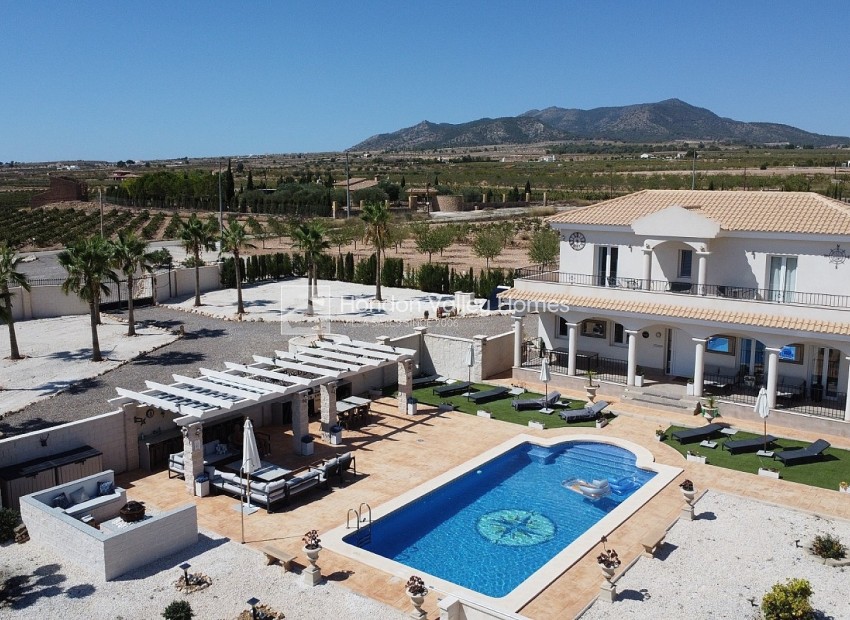 New Build / Off-Plan - Villa - Pinoso