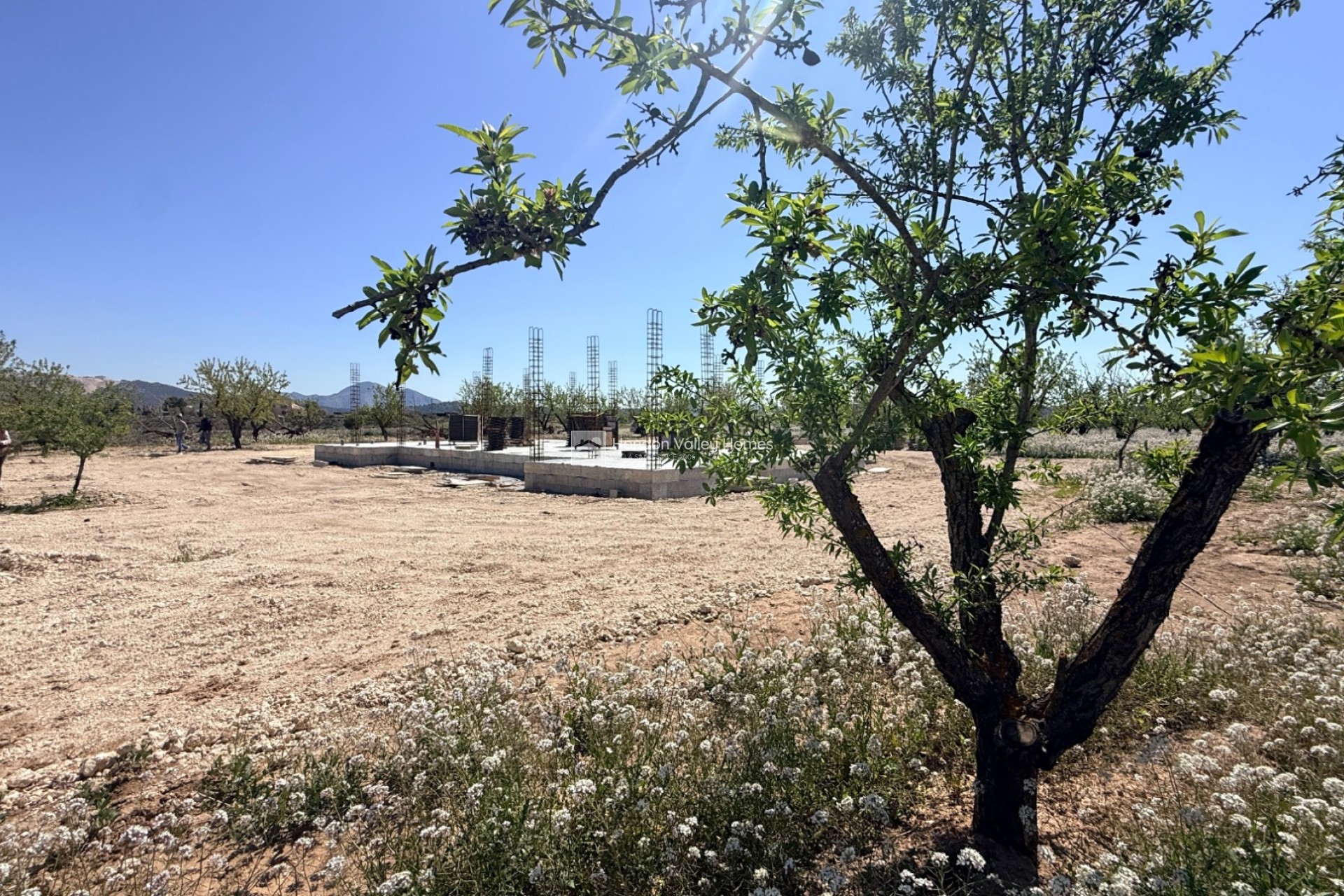 New Build / Off-Plan - Villa - Pinoso