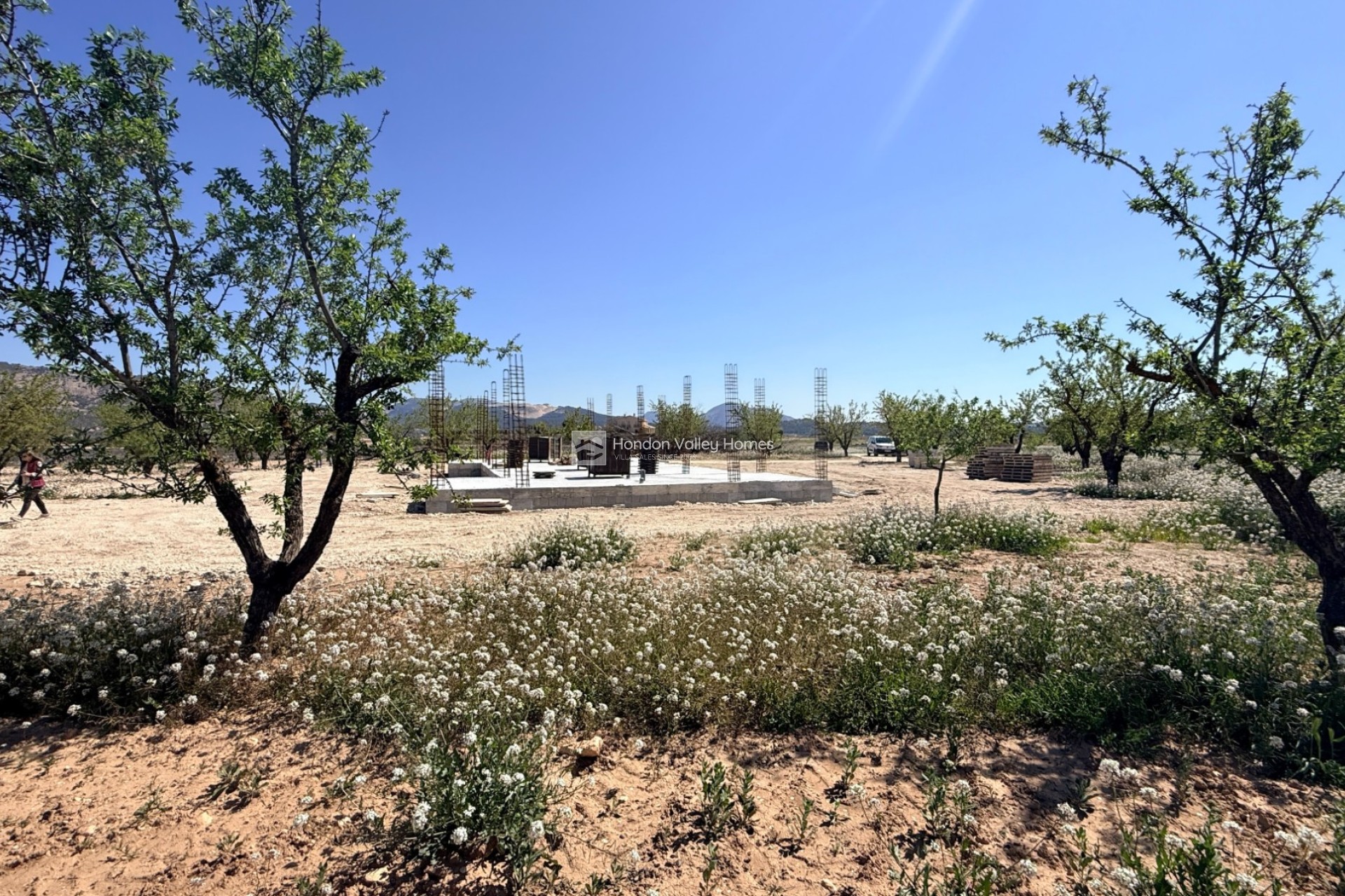 New Build / Off-Plan - Villa - Pinoso