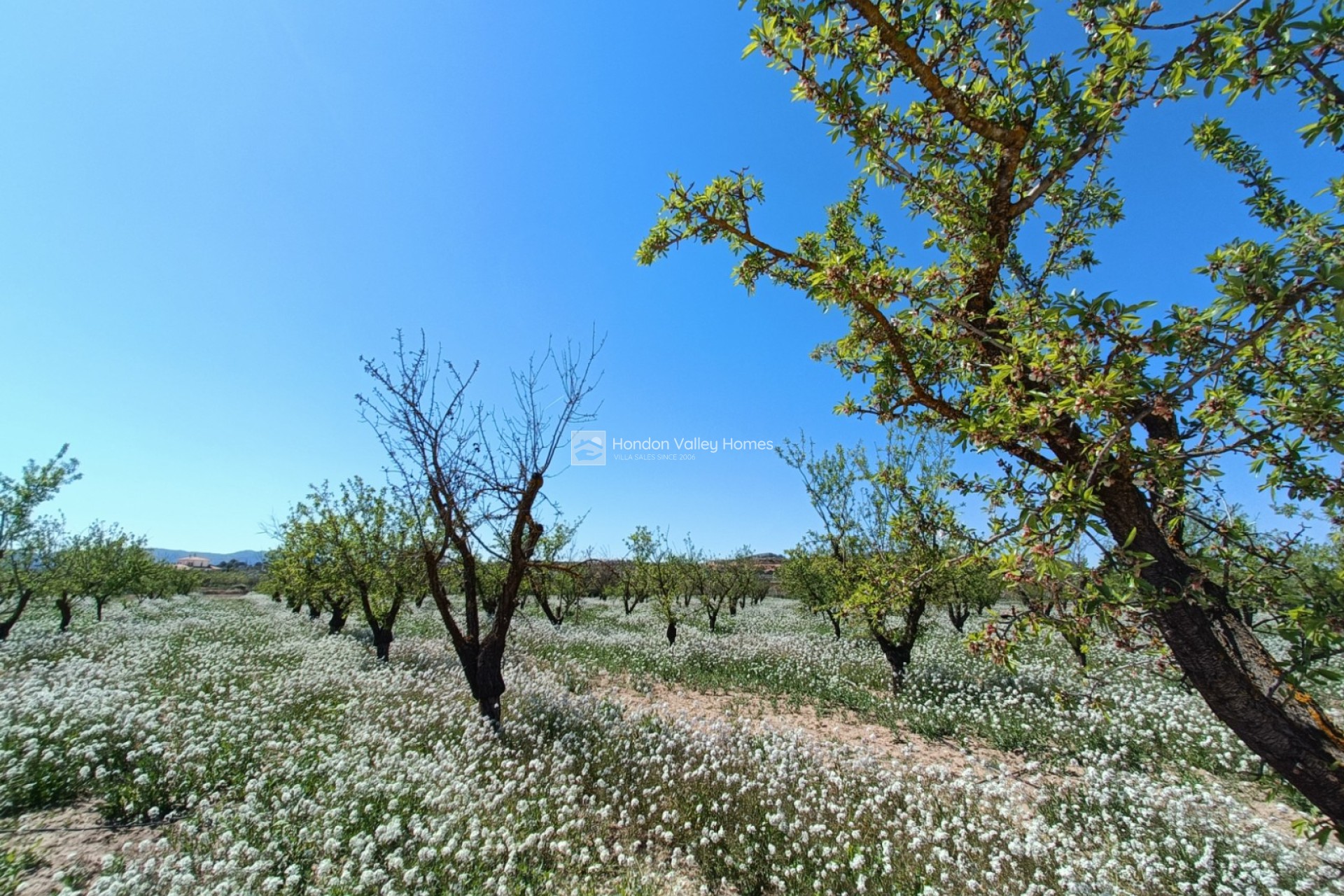 New Build / Off-Plan - Villa - Pinoso