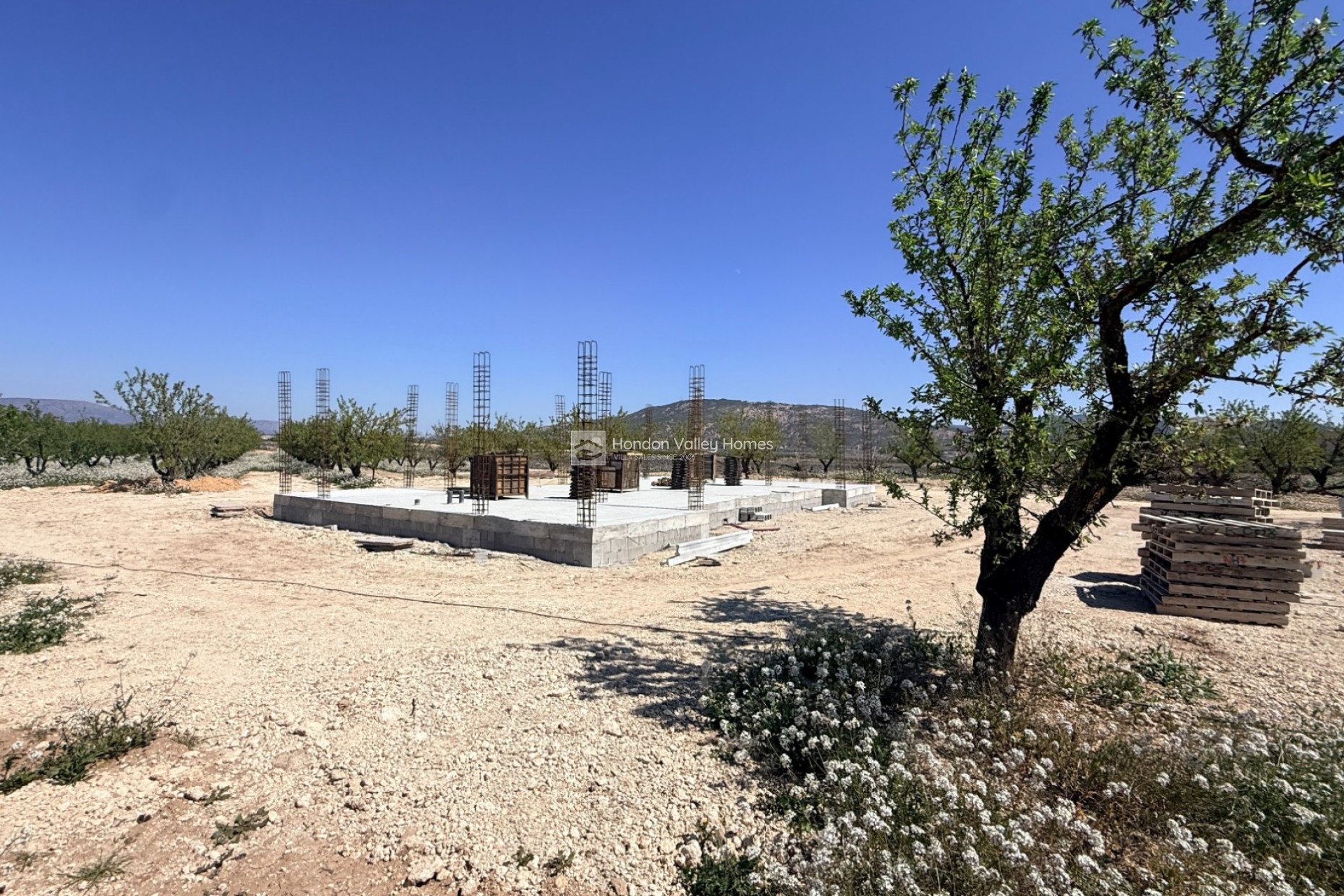 Nieuwbouw / Nieuwbouwproject - Villa - Pinoso