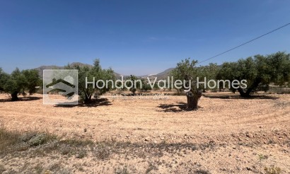 Plot - Resale - Barbarroja - HVHC-14364