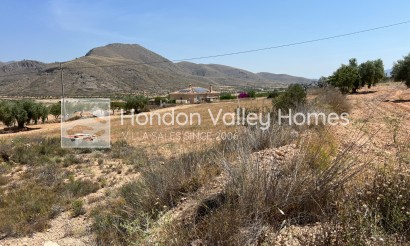 Plot - Revente - Barbarroja - HVHC-45039