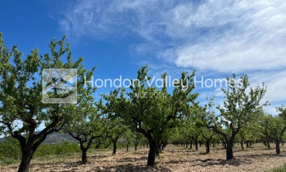Plot - Rynek wtórny - Hondón de los Fráiles - Hondón de los Fráiles