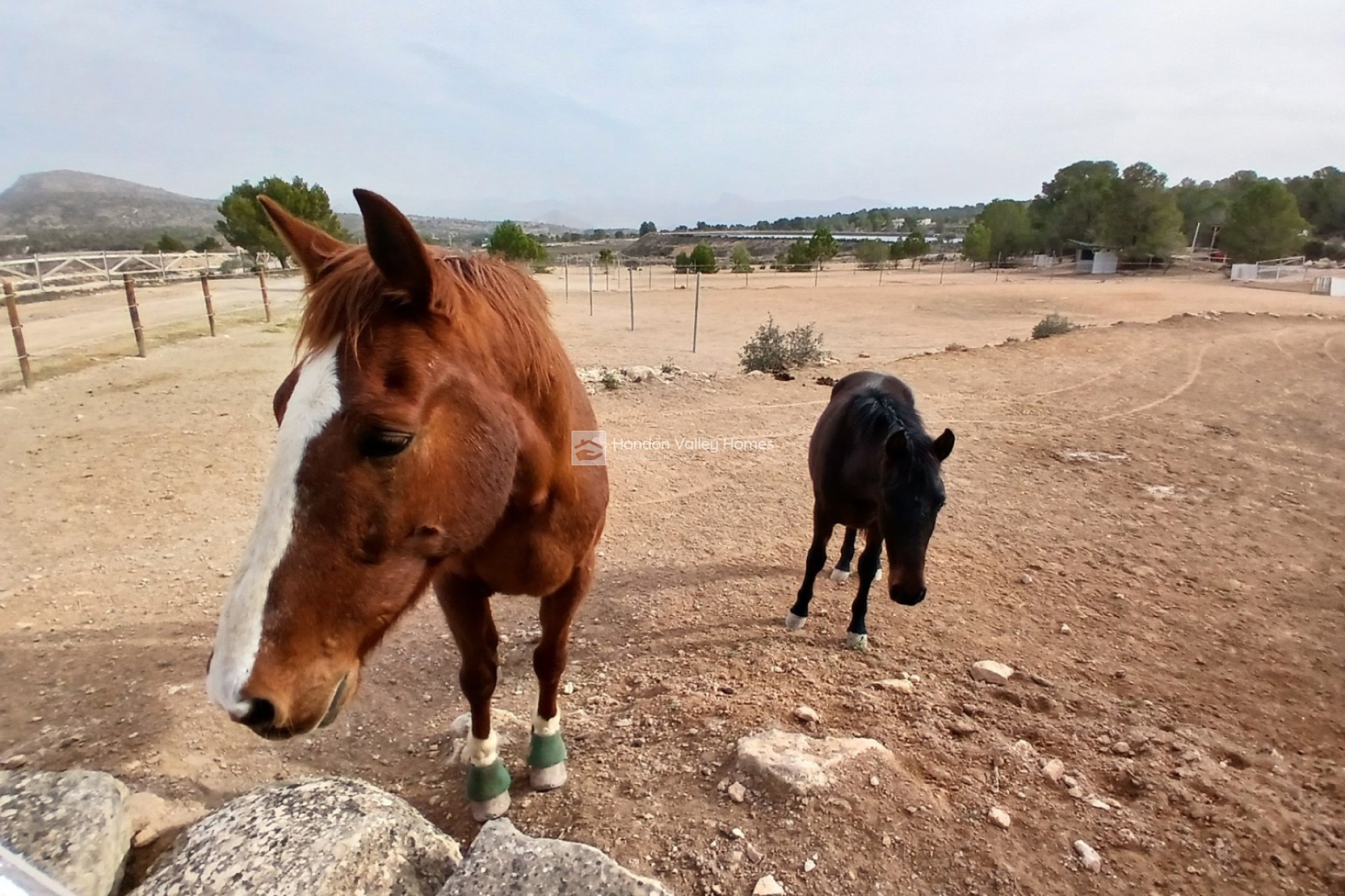 Resale - 5. Finca / Country Property - Monovar