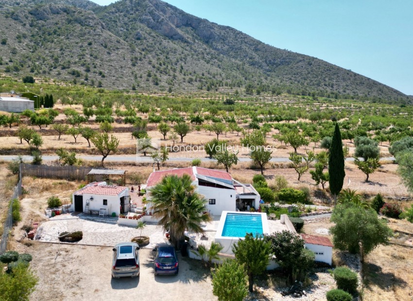 Resale - Cave - Algueña