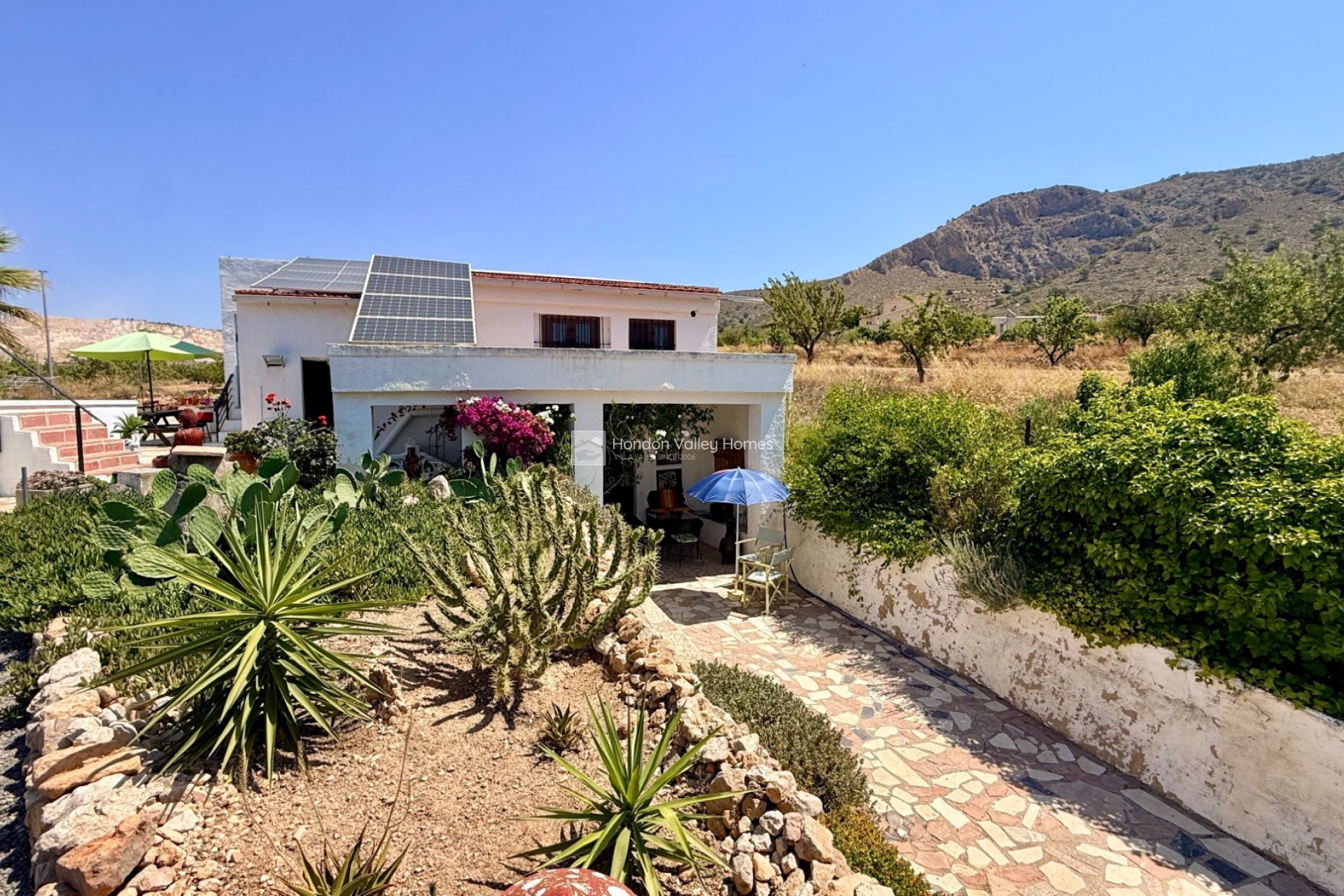 Resale - Cave - Algueña