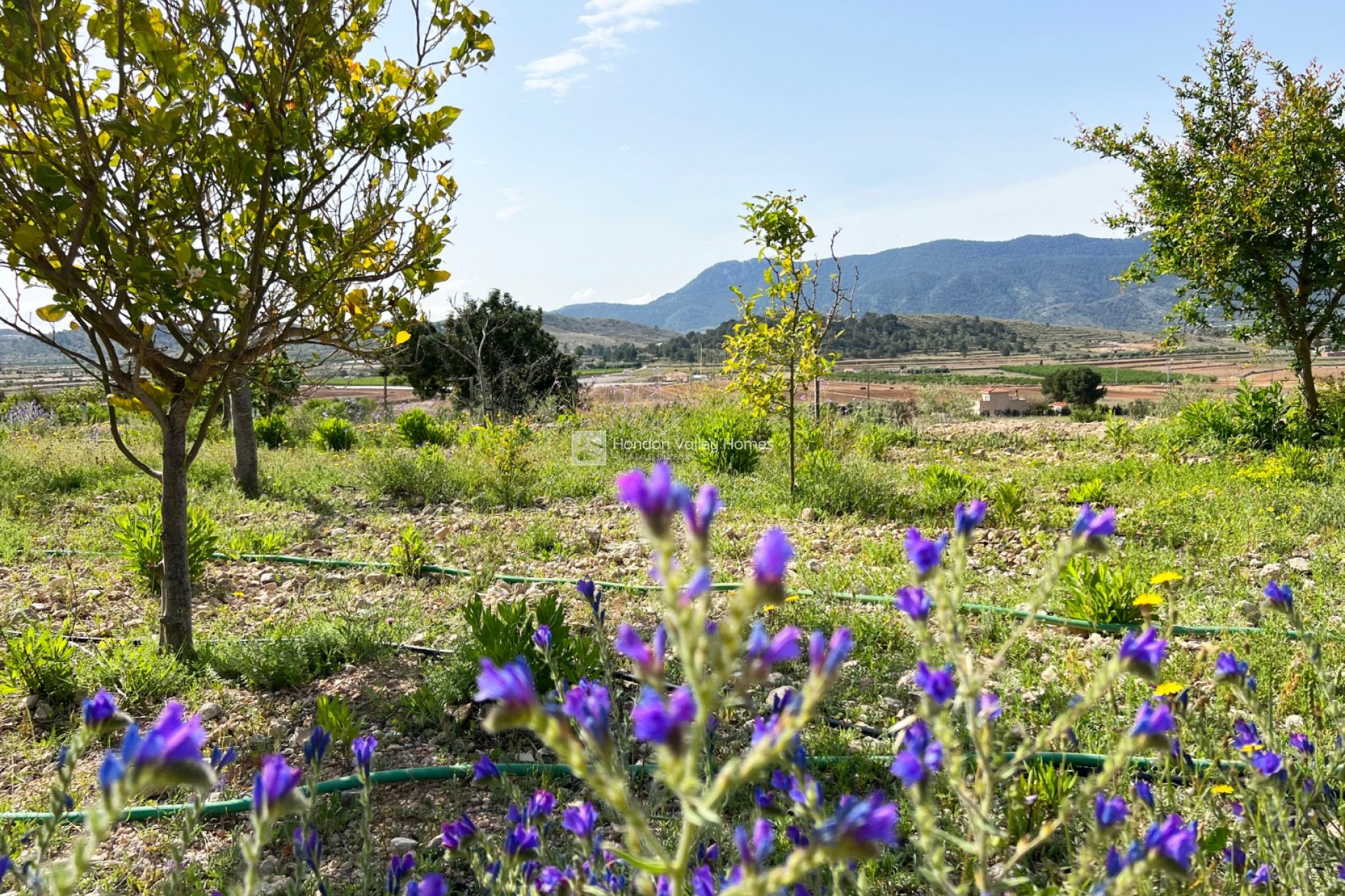 Resale - Country home - Hondón de las Nieves
