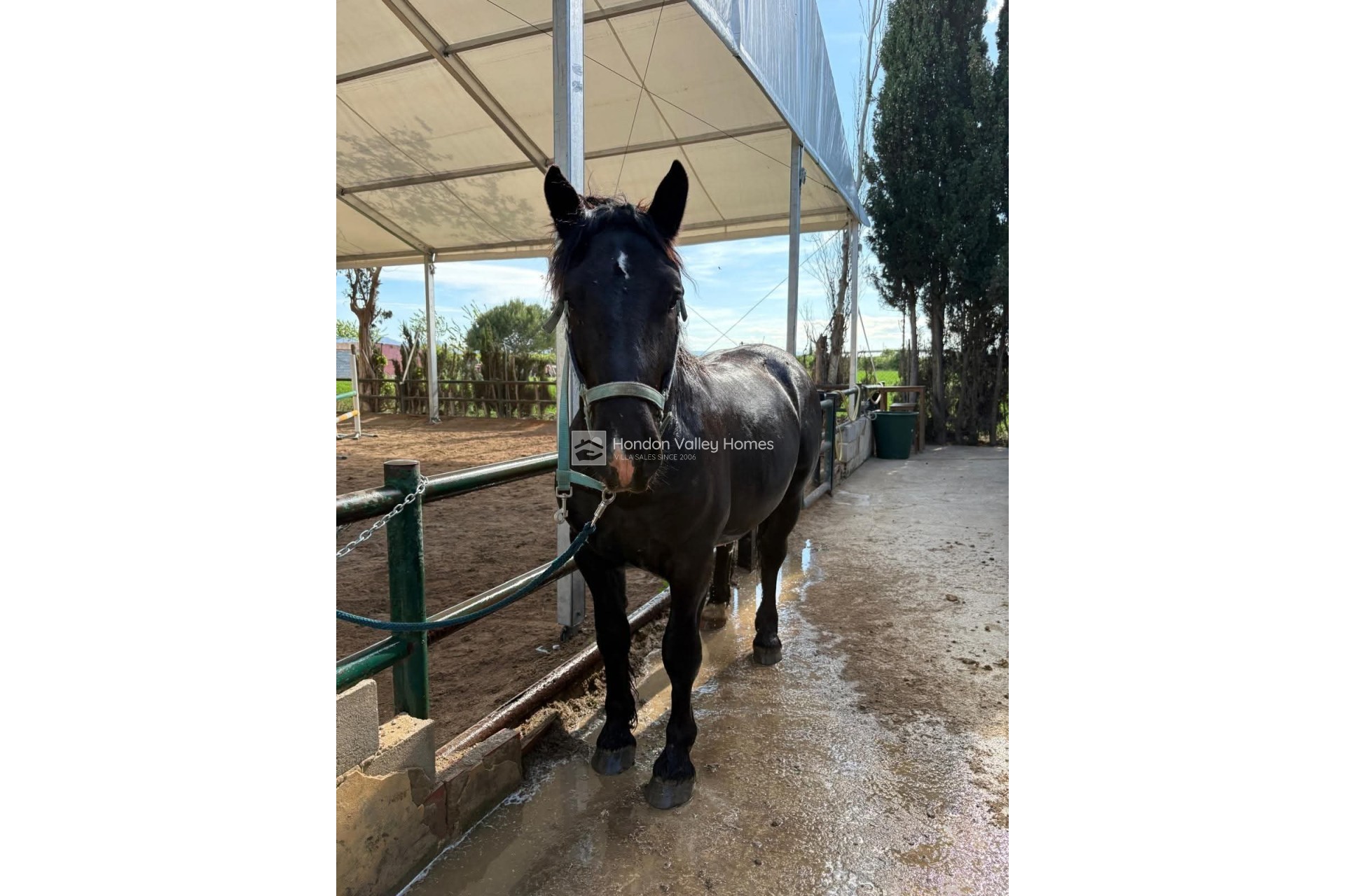 Resale - Country House - Orihuela