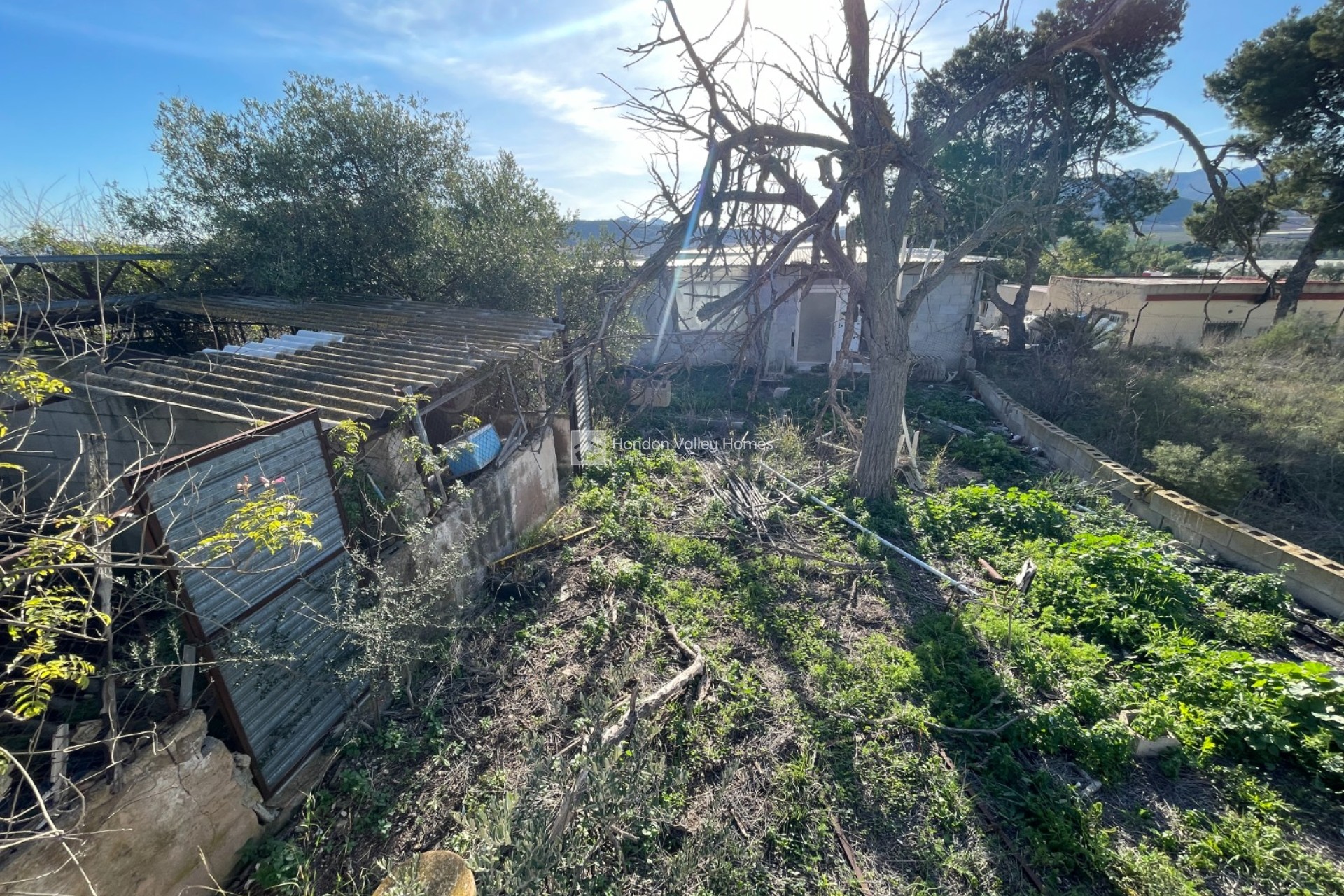 Resale - Finca / Country Property - Aspe