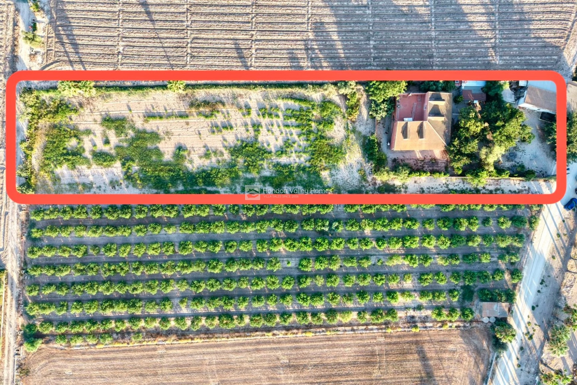 Resale - Finca - Country Property - Catral