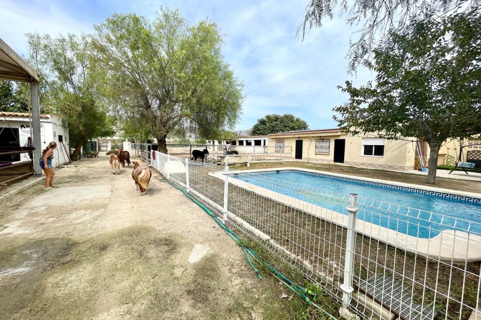 Resale - Finca / Country Property - Orihuela