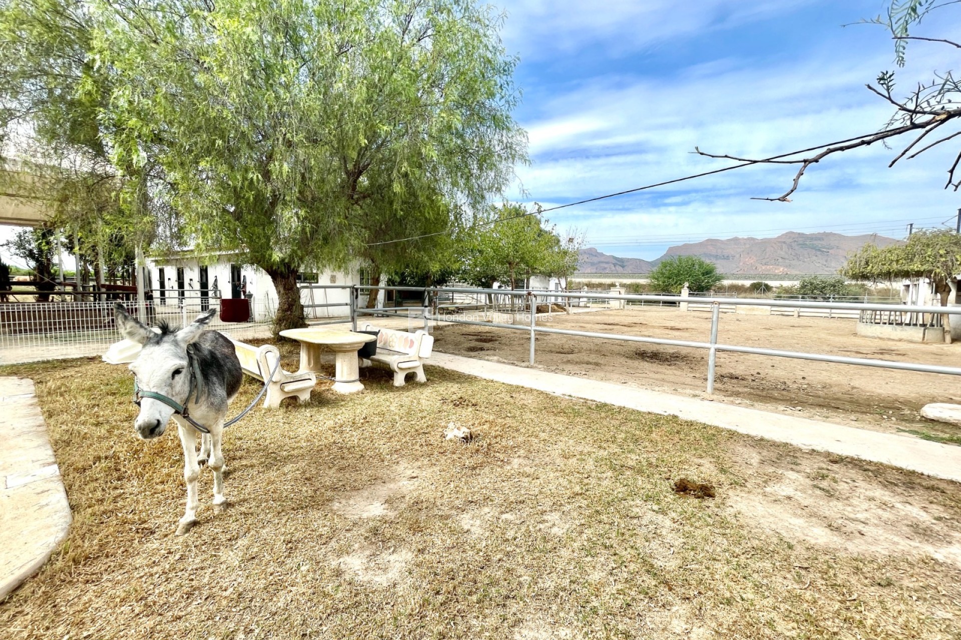 Resale - Finca / Country Property - Orihuela