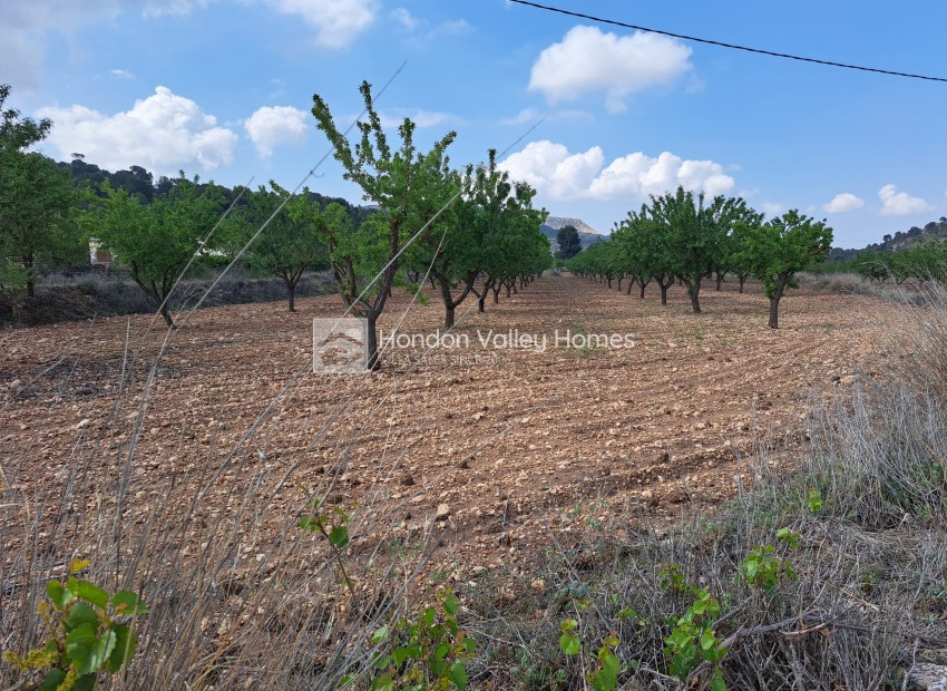 Resale - Grond - Pinoso