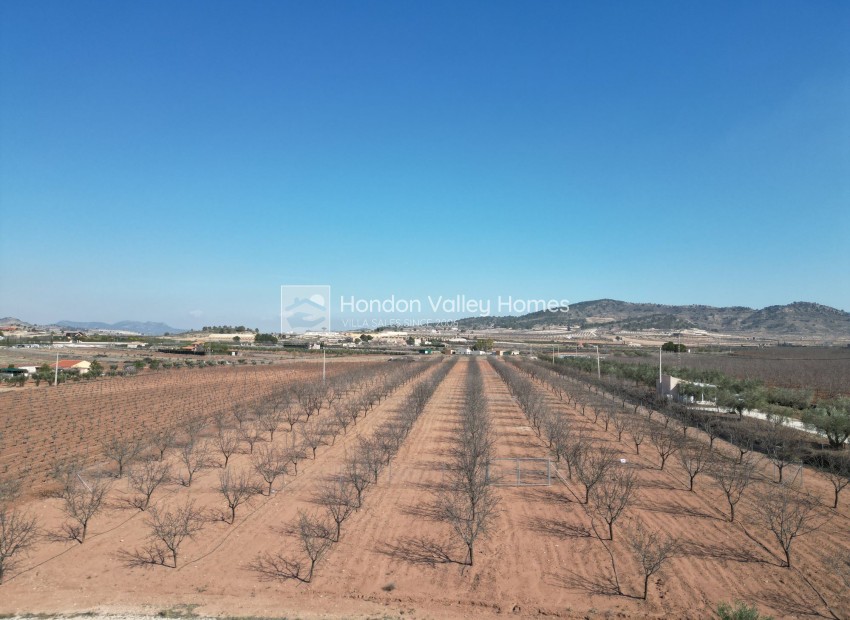 Resale - Grond - Pinoso