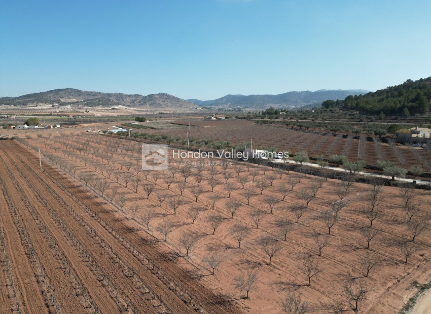 Resale - Grond - Pinoso