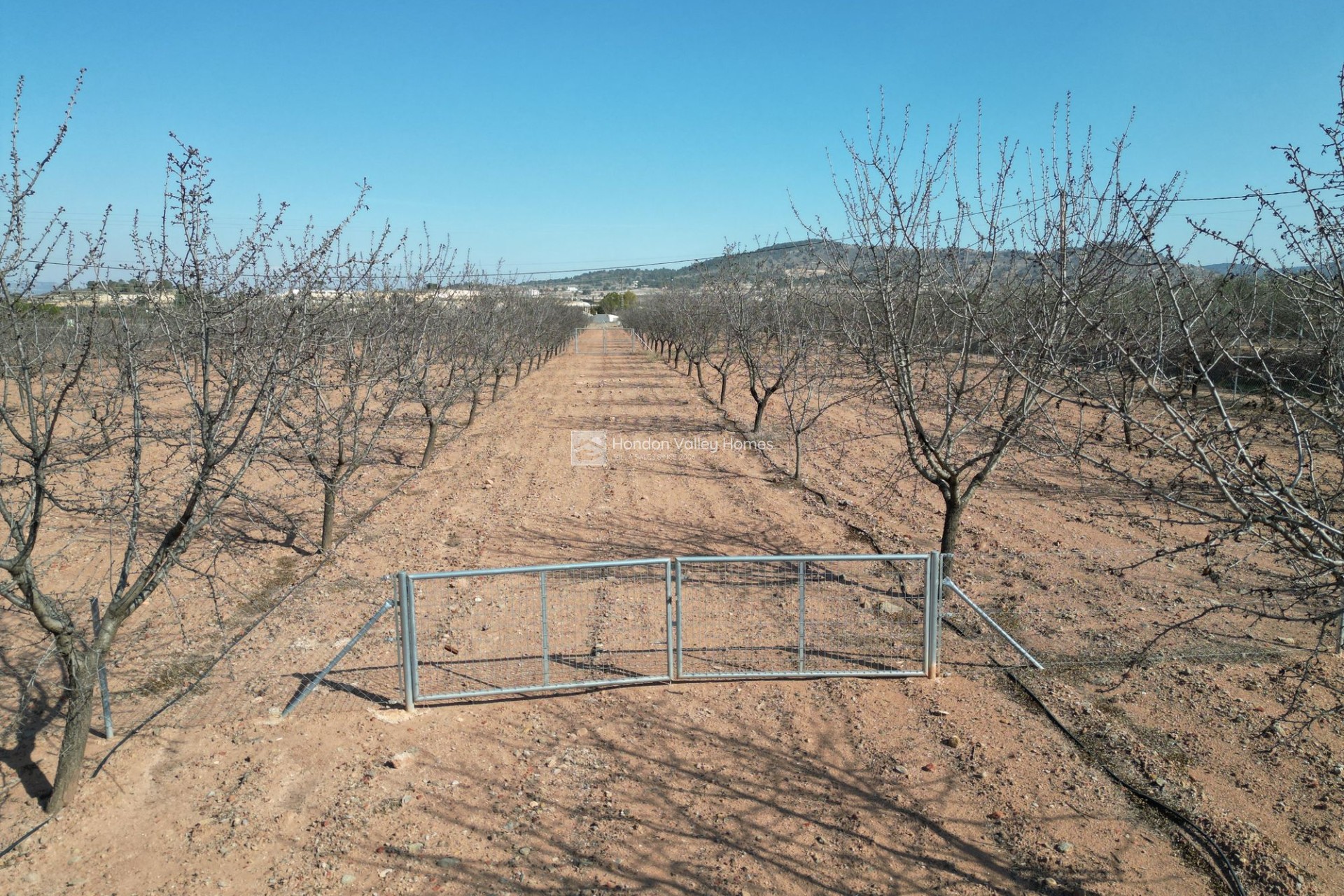 Resale - Grond - Pinoso