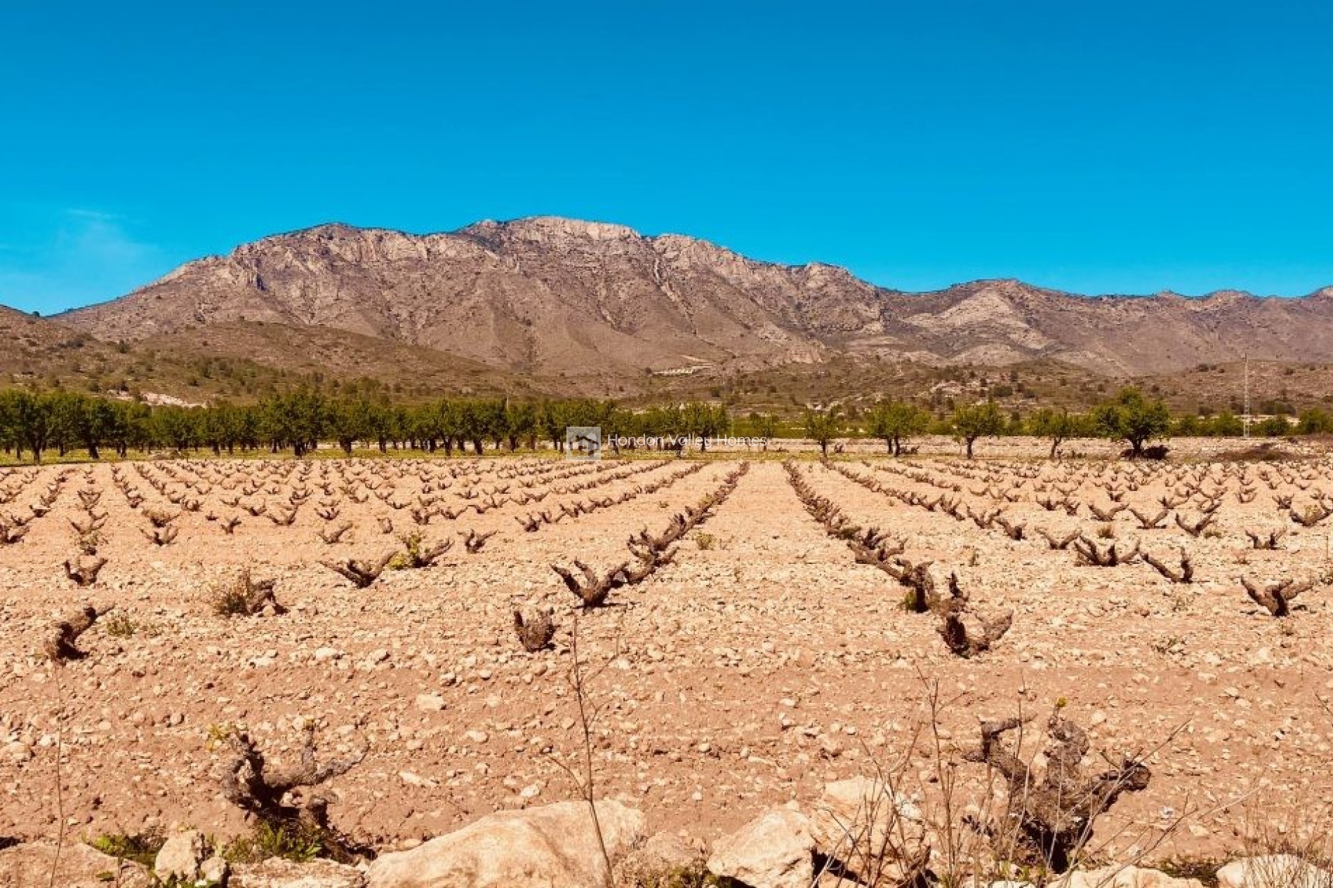 Resale - Manor house - El Canton