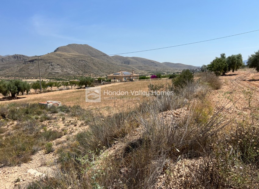 Resale - Plot - Barbarroja