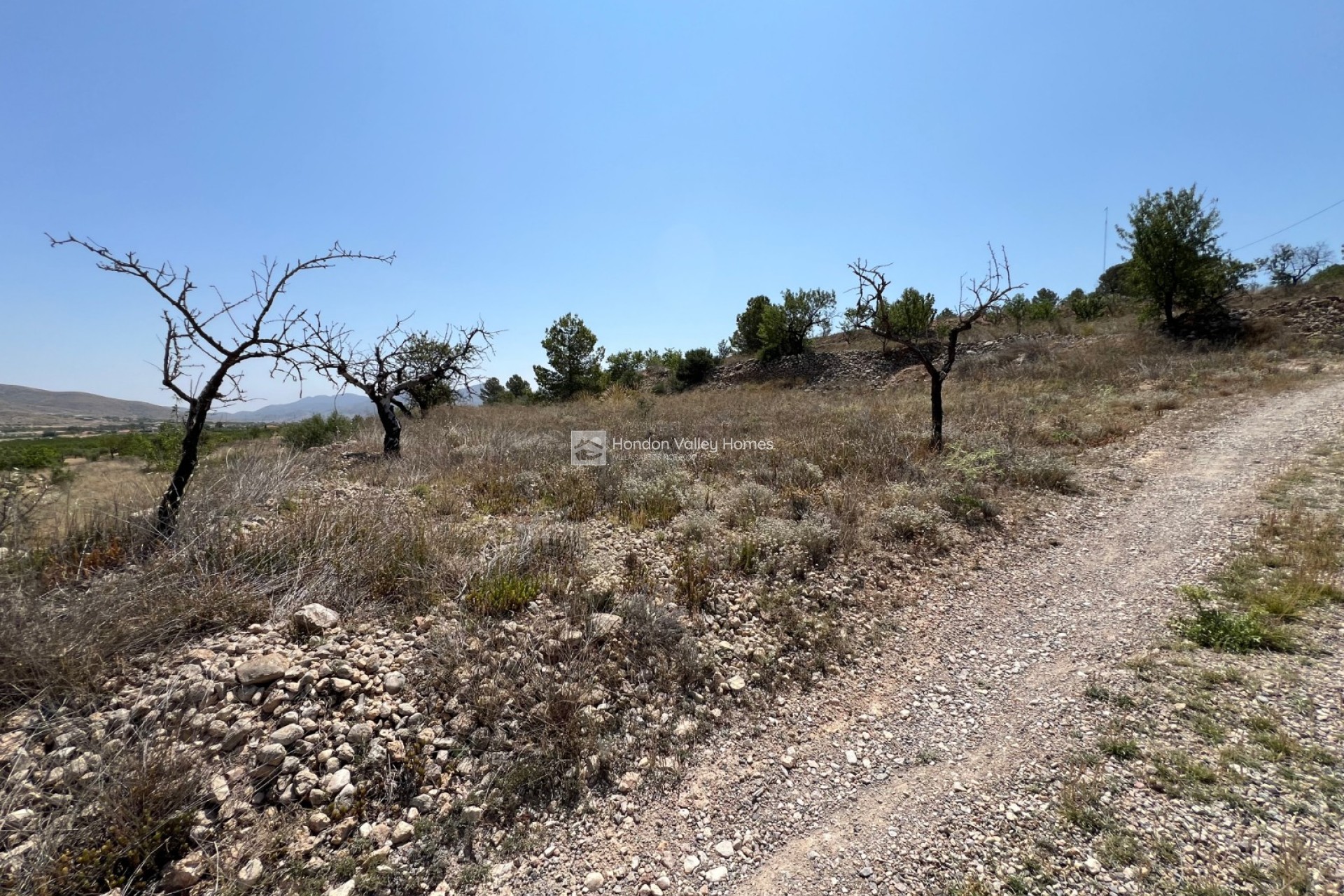 Resale - Plot - Barbarroja