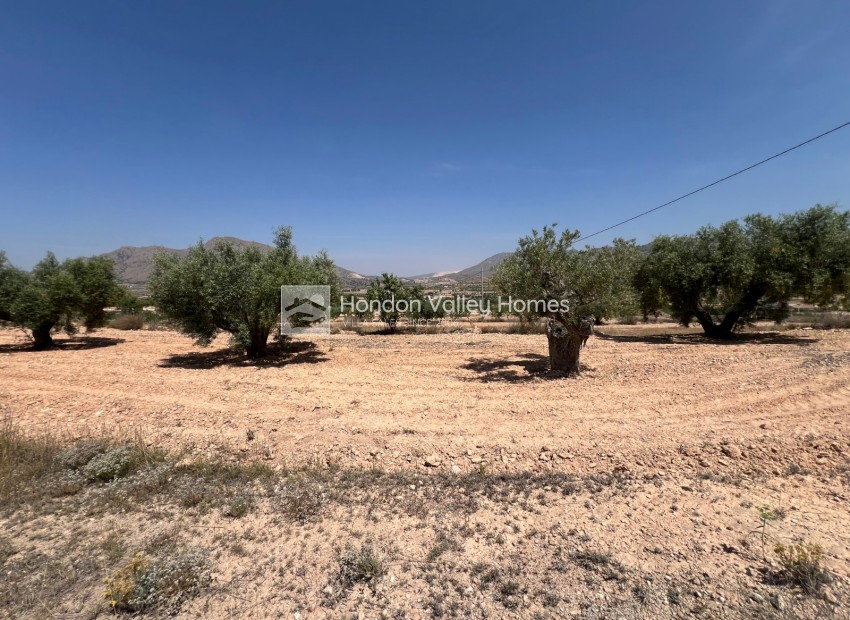 Resale - Plot - Barbarroja