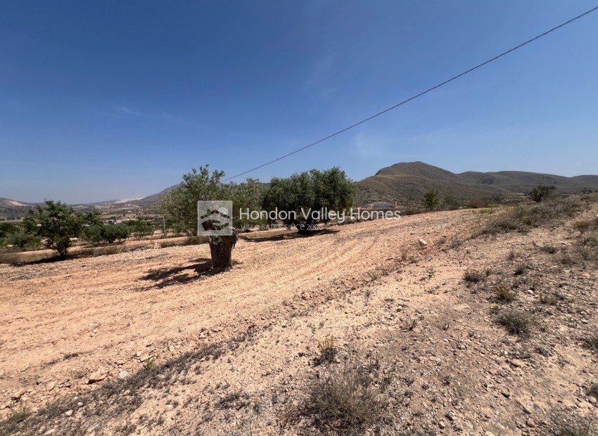 Resale - Plot - Barbarroja