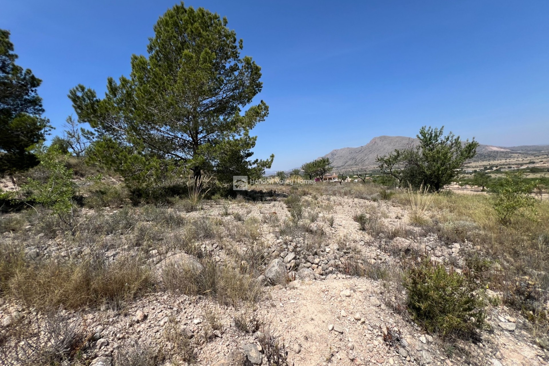 Resale - Plot - Barbarroja