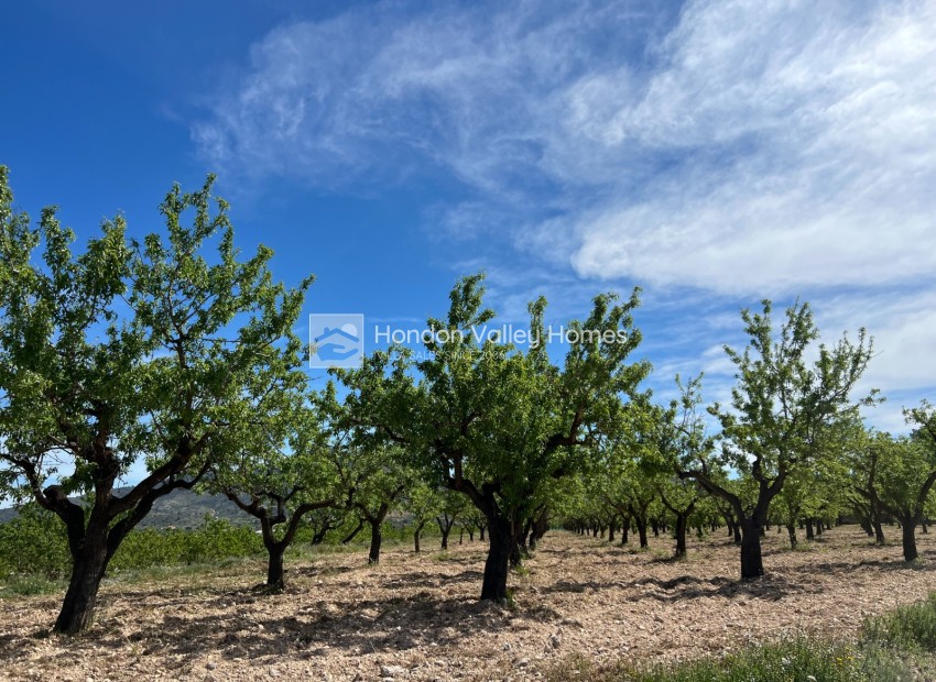 Resale - Plot / Land - Hondón de los Fráiles