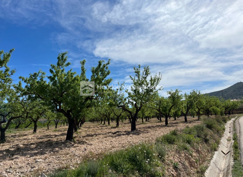 Resale - Plot / Land - Hondón de los Fráiles