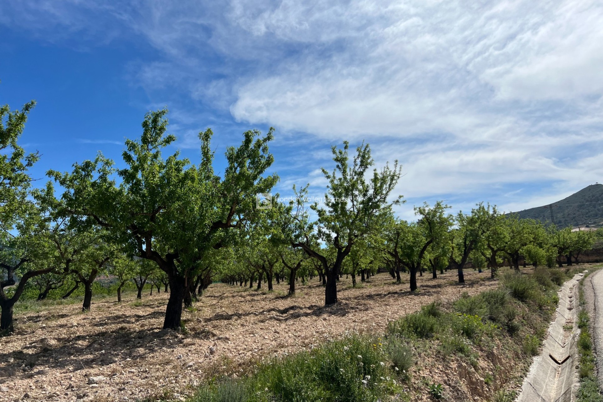 Resale - Plot / Land - Hondón de los Fráiles