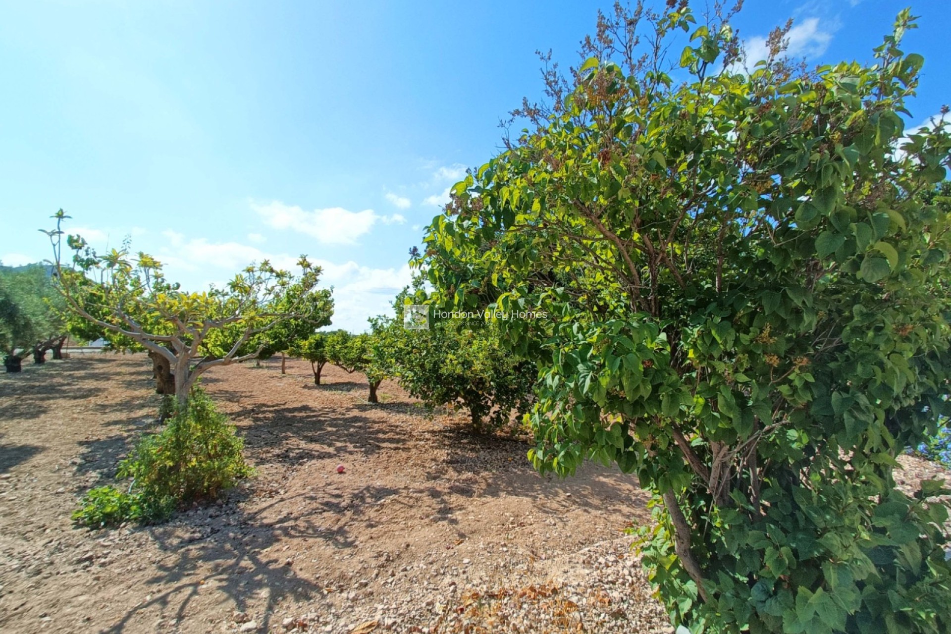 Resale - Villa - Aspe