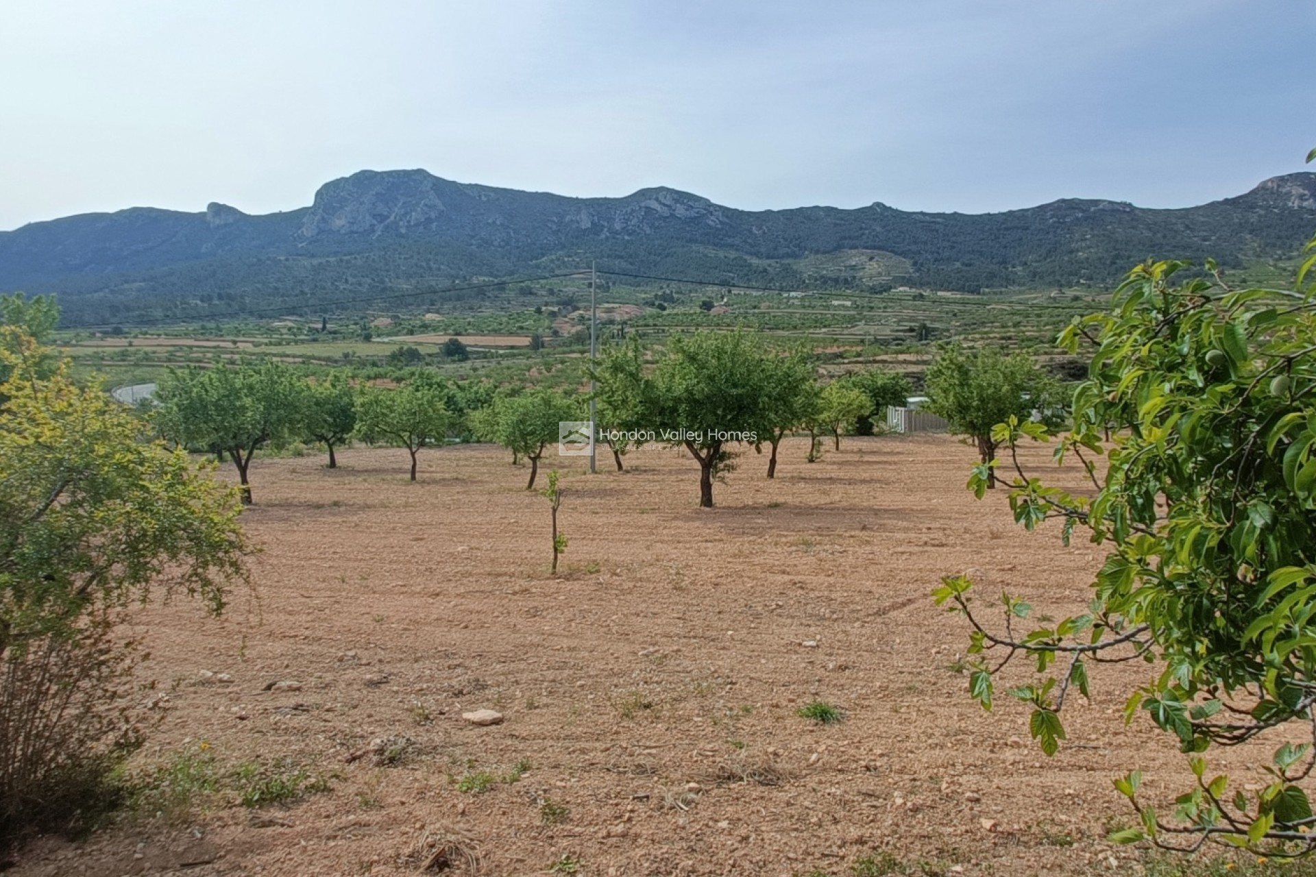 Resale - Villa - Detached - La Romana