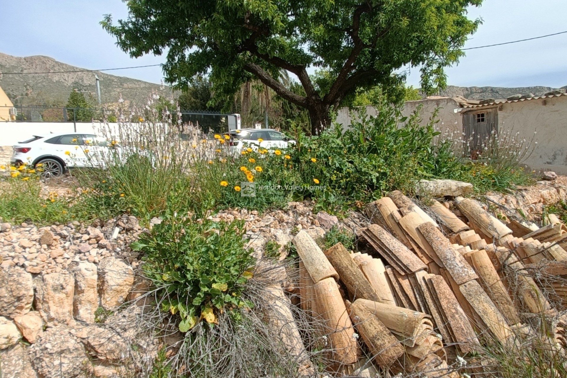 Resale - Villa - Detached - La Romana