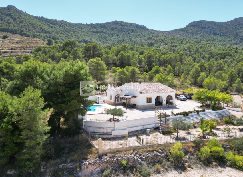 Resale - Villa - Detached - La Romana