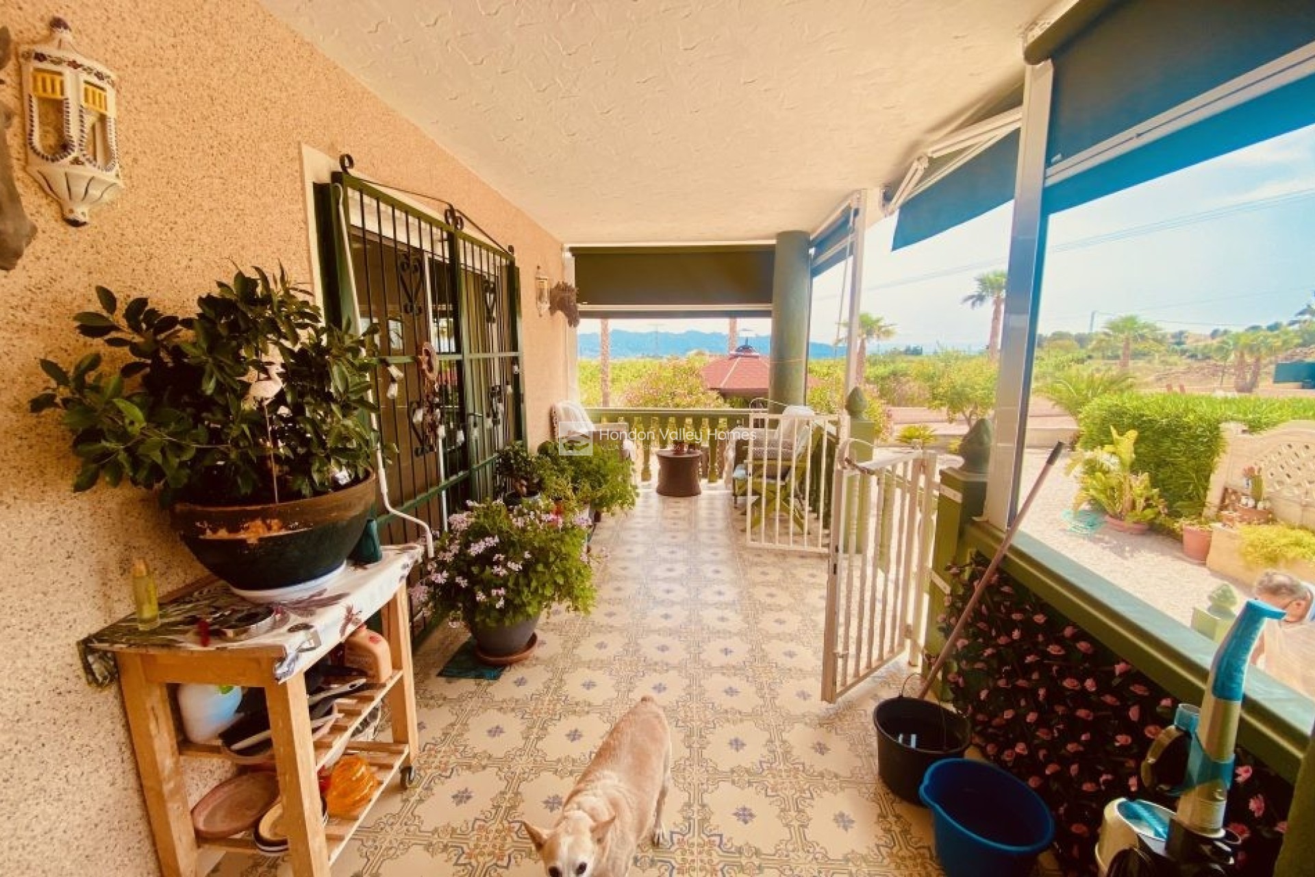 Resale - Villa - Detached - Macisvenda
