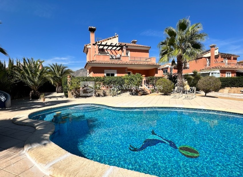 Resale - Villa - HONDON DE LAS NIEVES - La Montanosa