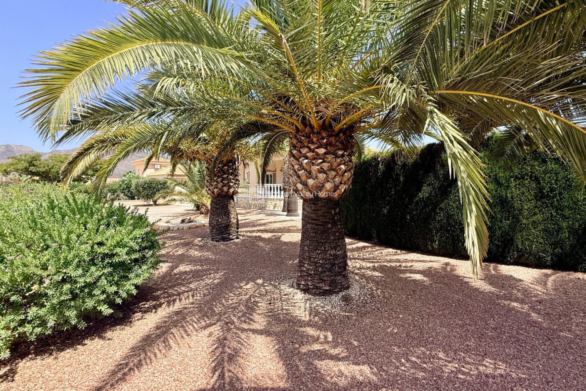 Resale - Villa - Hondón de las Nieves - La Montañosa