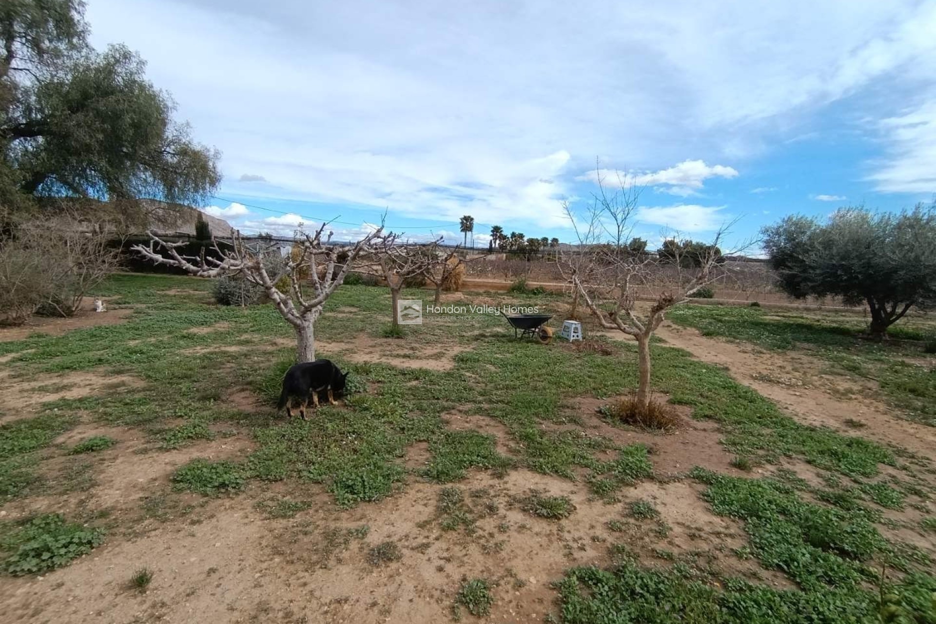 Resale - Villa - Hondón de las Nieves