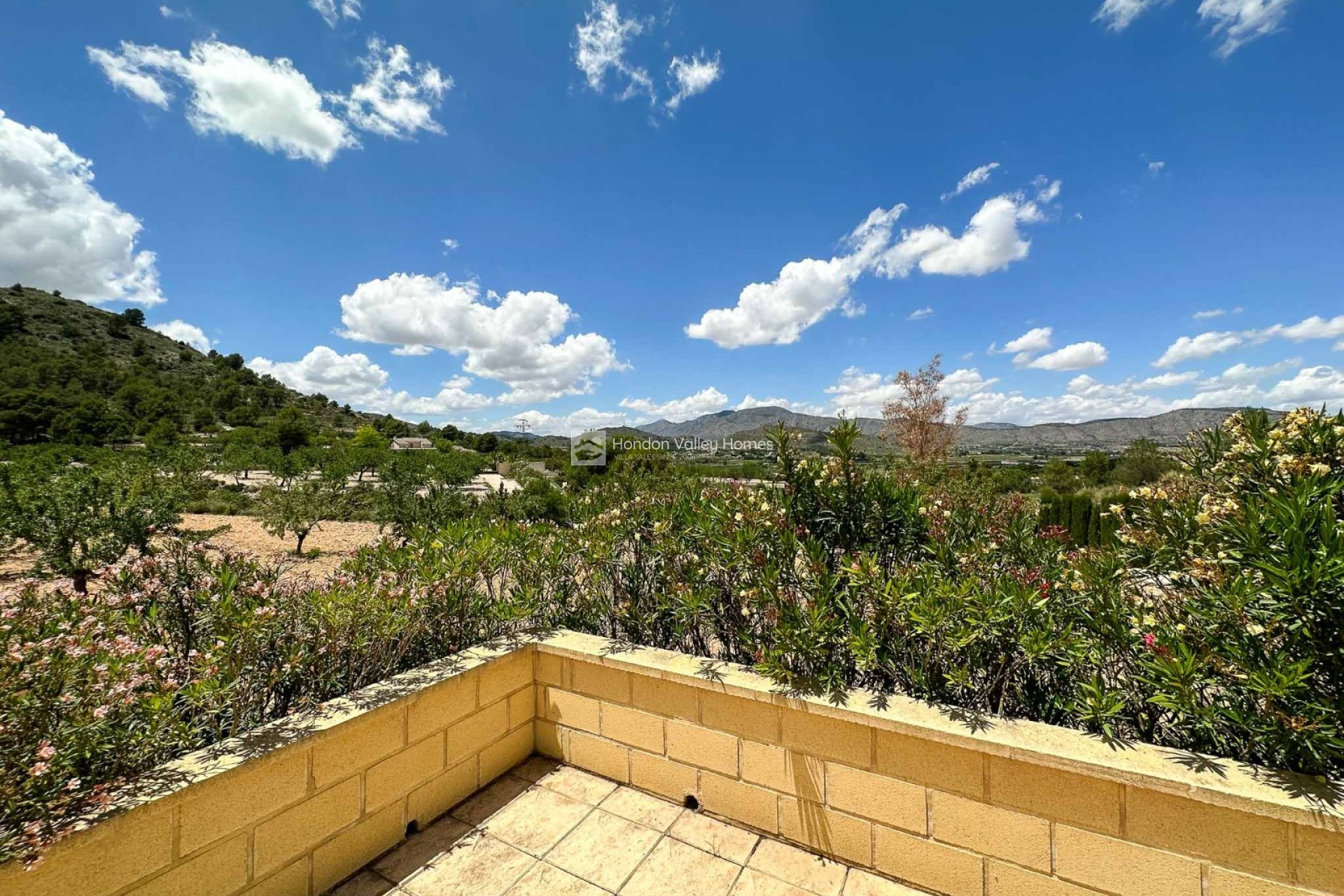 Resale - Villa - HONDON DE LAS NIEVES