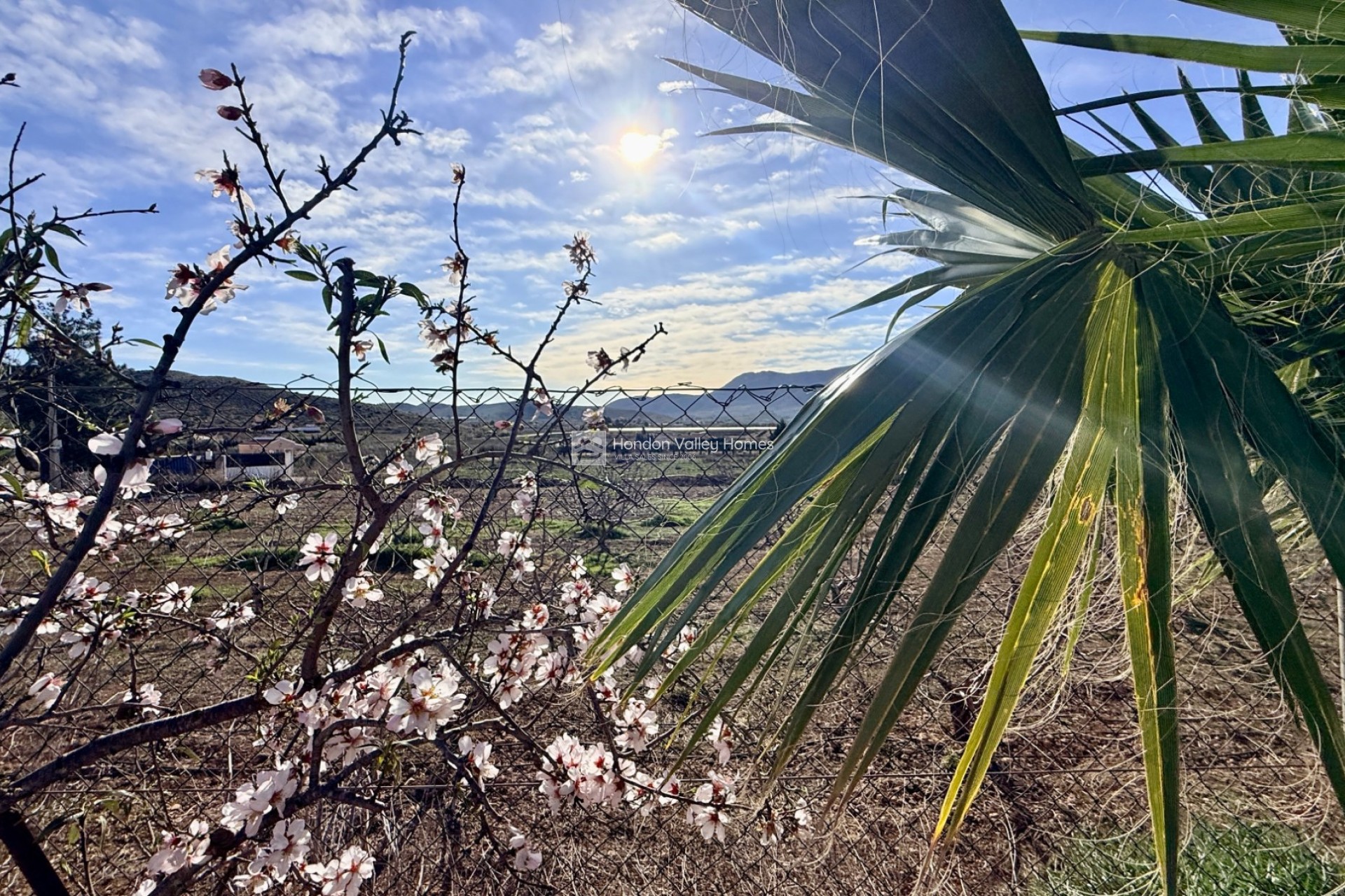 Resale - Villa - Hondón de las Nieves