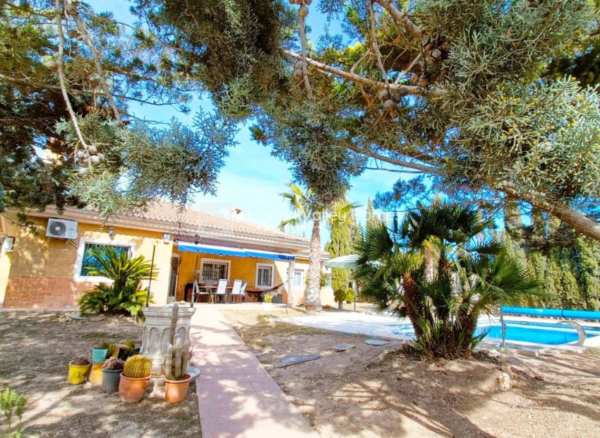 Resale - Villa - HONDON DE LOS FRAILES